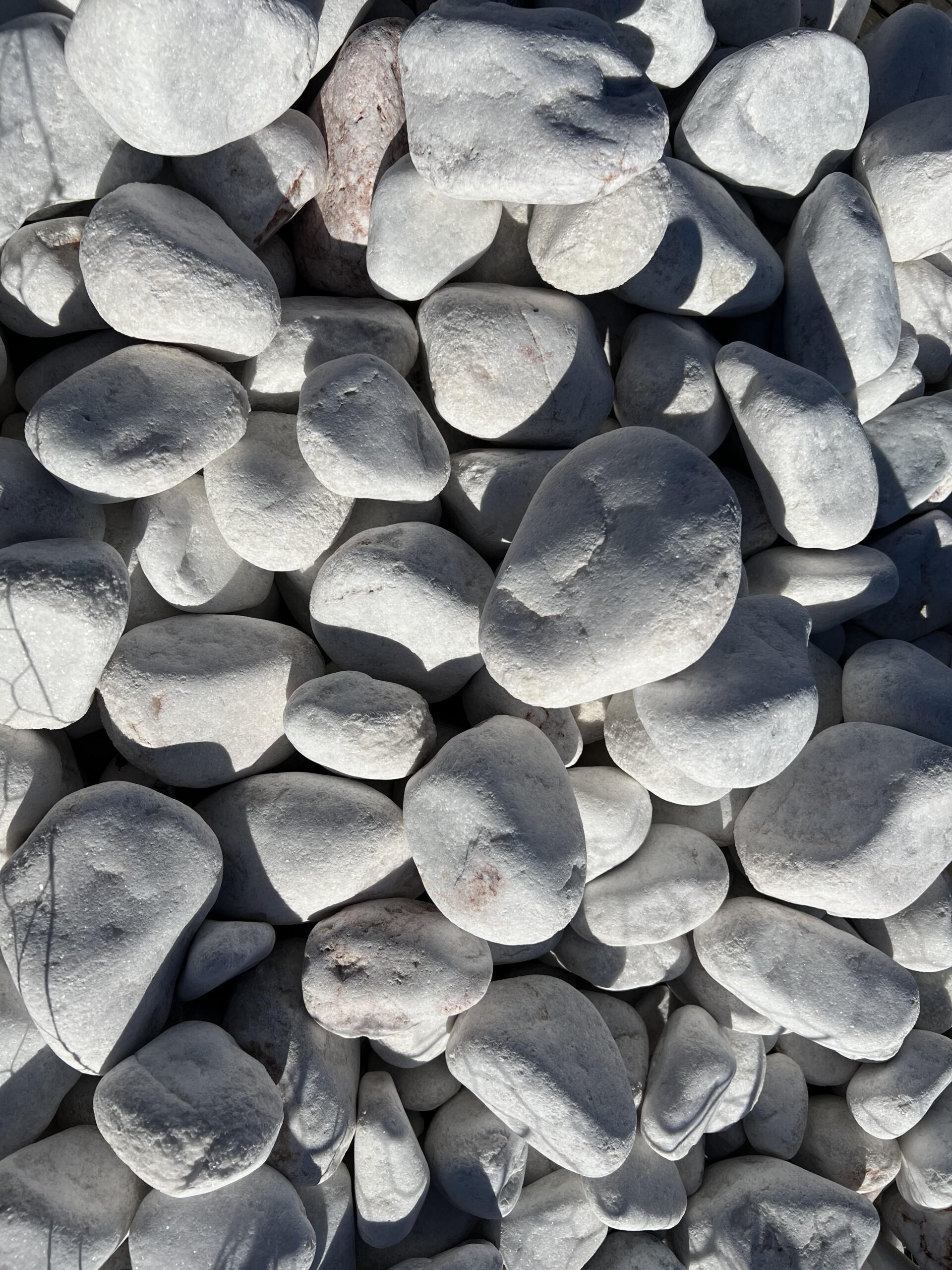 Decorative Gravel Trees Forever Nursery