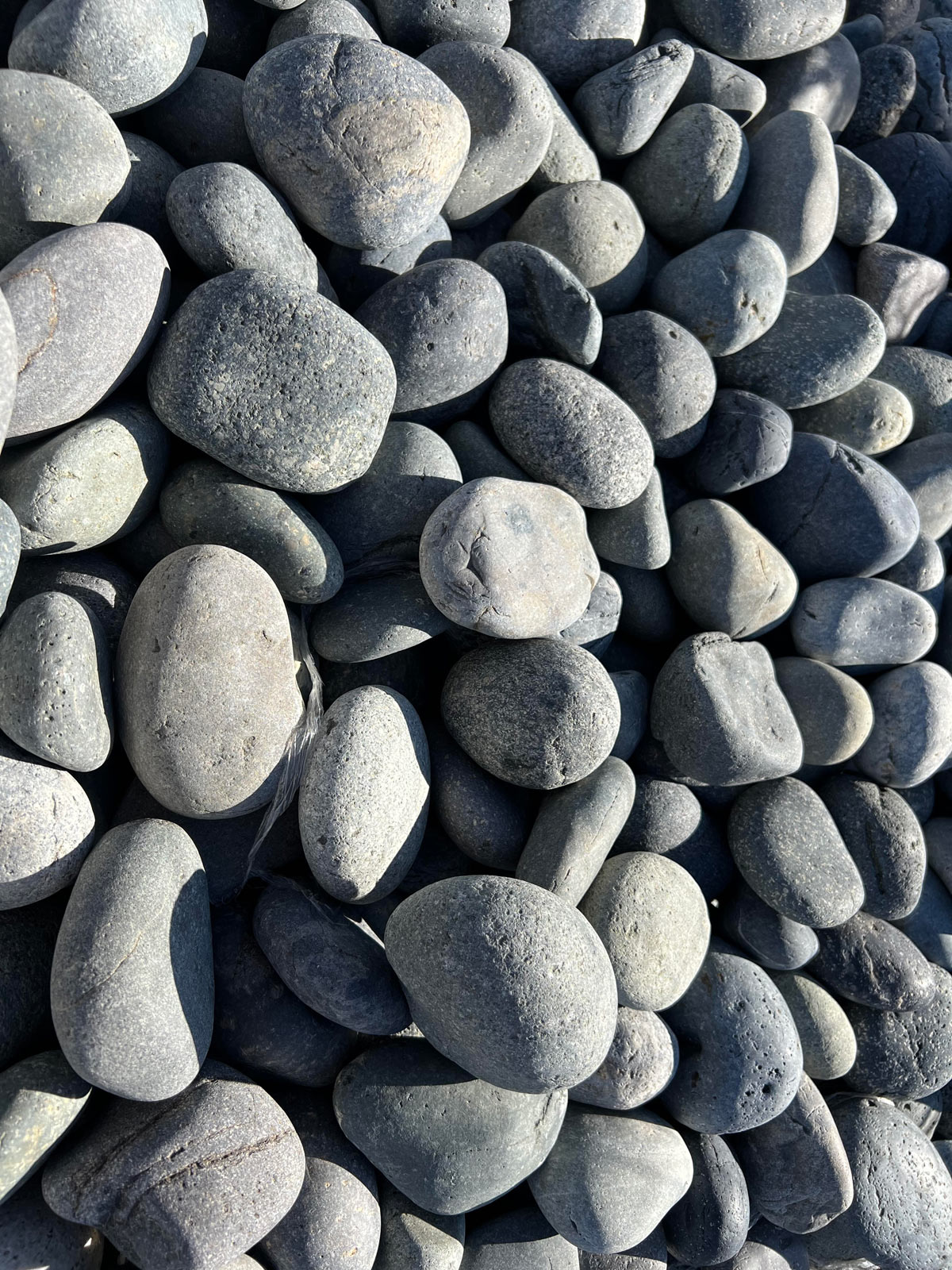 Decorative Gravel Trees Forever Nursery